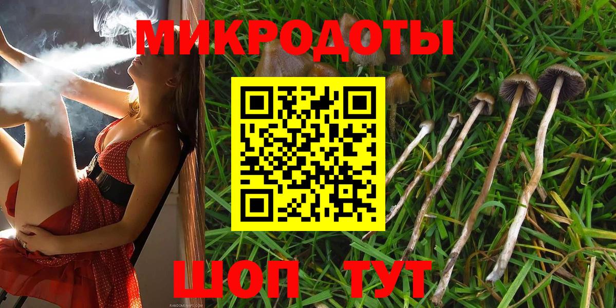 Арзамас  Псилоцибиновые грибы GOLDEN TEACHER  Вход с VPN  Псилоцибиновые грибы мицелий 