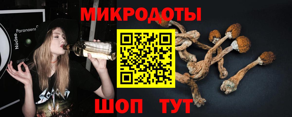 Галлюциногенные грибы мухоморы Арзамас